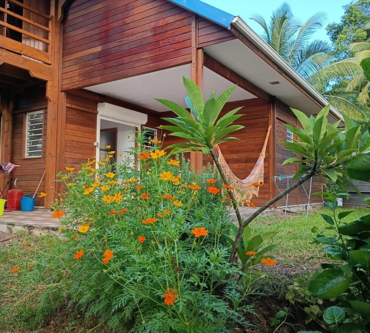 Les Gites Du Sud - O Naturel Gourbeyre Lodge